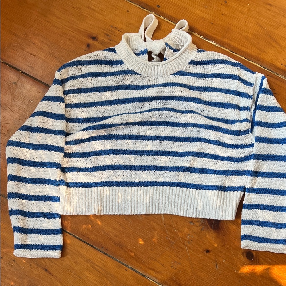 J. Crew Striped Blue and White Roll Neck Sweater